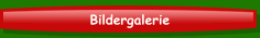 Bildergalerie